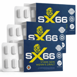 SX66